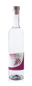 Grappa di Merlot 50 cl